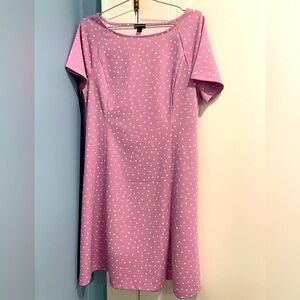 NWT - Ann Taylor - Purple Polka Dot Swing Dress - Size L